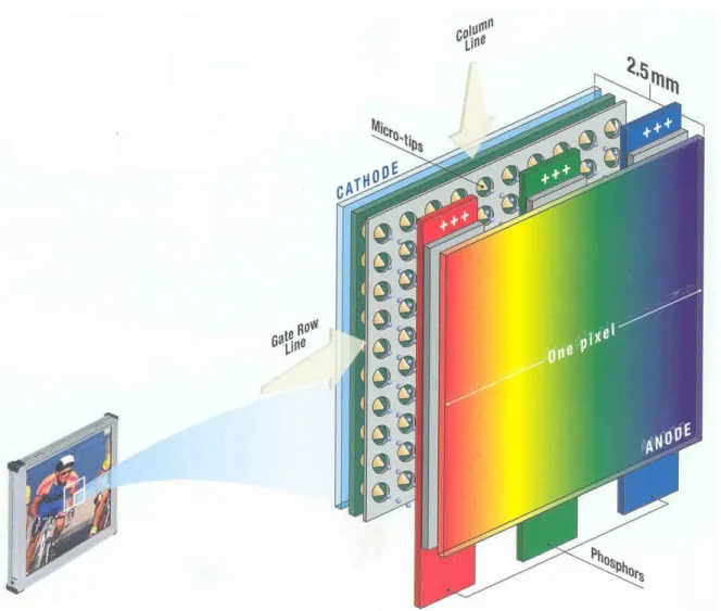 Figure 0-1 Photographie d’un écran FED à micropointes métalliques de la société Pixtech et  illustration de la structure du pixel