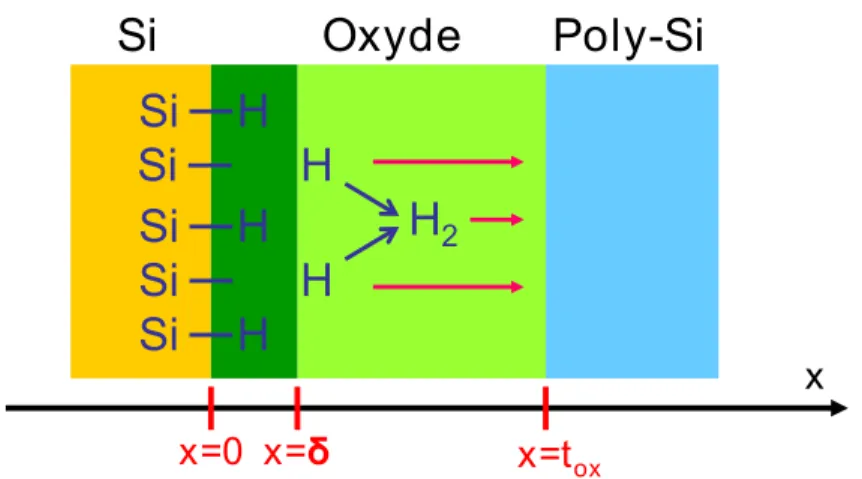 Figure 3.2 – Illustration de la diﬀusion d’espèce hydrogénée neutre dans la struc- struc-ture