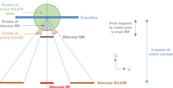 Figure 43 : Schéma représentant les modes HAADF, BF et IBF ainsi que les étendues de détection 