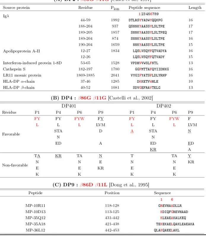 Tableau 5 : Motifs de liaison des molécules HLA-DP2, DP4 et DP9