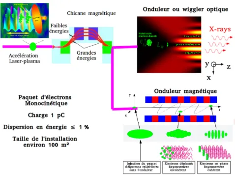 Figure 2.15: Schéma d’un LEL compact combinant l’accélération d’électrons dans les plasmas avec un onduleur (wiggler) optique ou magnétique.