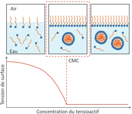 Figure 7: Influence de la concentration du tensioactif sur la tension de surface 