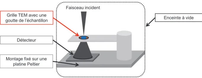Figure 37 : Schéma du montage d'un microscope électronique en mode wet-STEM 
