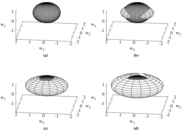Figure 3.1: (a) A surface of constant enstrophy ω 2 1 + ω 2 2 + ω 2 3 = 2G = 1 in a three dimensional phase space