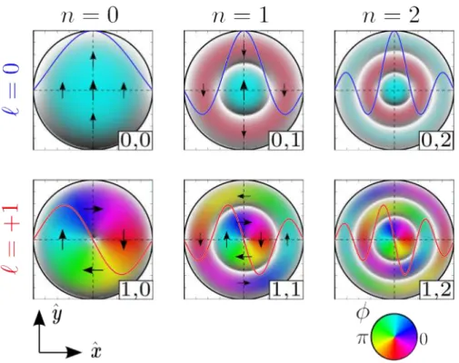 Figure 2.1.: Color representation of the Bessel spatial patterns for different values of the azimuthal mode index ` (by row) and radial mode index n (by column)