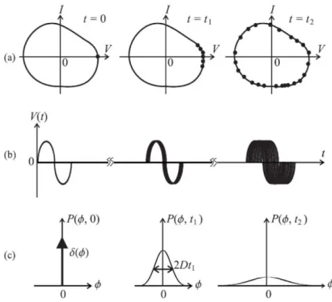 Figure 3.3.: Figure From [117]: (a) limit cycle (b) Time domain signal of any one oscillator (c) Probability distribution of the phase.