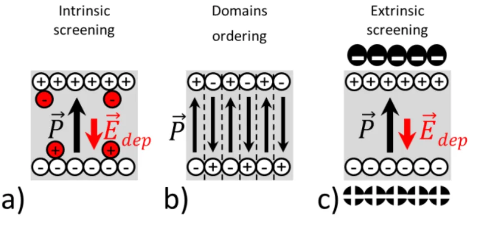 Figure 1.5 – Different mechanisms for screening the polarization-induced charges. a) Intrinsic screening by defects b) Domain ordering and c) Extrinsic screening mechanisms.