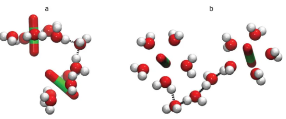 FIG. 6. Characteristic snapshots of UO 2+ 2 –UO 2+2 complexes in aqueous  so-lution at different U UO 2+