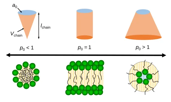 Figure 2.2  Schematic representation the spontaneous packing parameter p 0 and preferential geometry of aggregates.