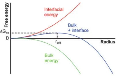 Figure 2.1: Evolution of the bulk energy and the surface free energy as a function of the nuclei radius