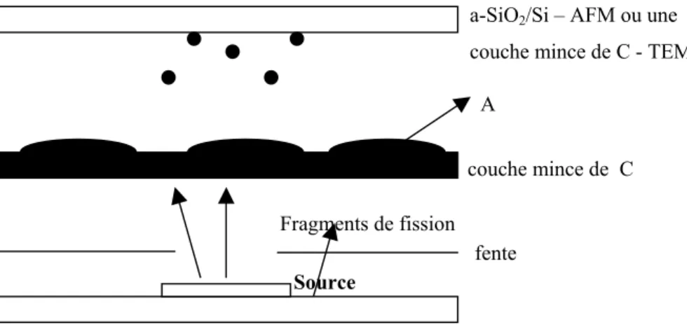 Figure 3.19 : Dépôt des colloïdes d’or sur la surface de a-SiO (mesures AFM) ou C (mesures  TEM) 