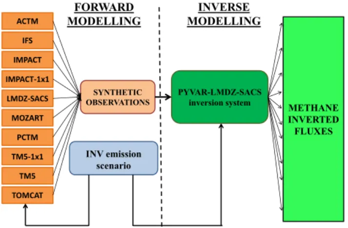 Fig. 1. Schematic showing the methodology of our experiment.