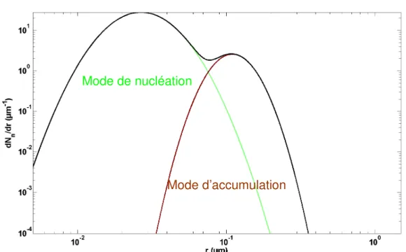 Fig. 2.1 : Représentation des deux principaux modes de la distribution en taille normalisée des 