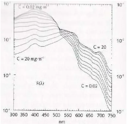 Figure 1.2.3 : Spectre de réflectances pour diverses concentrations en chlorophylle a, Morel, 1988.