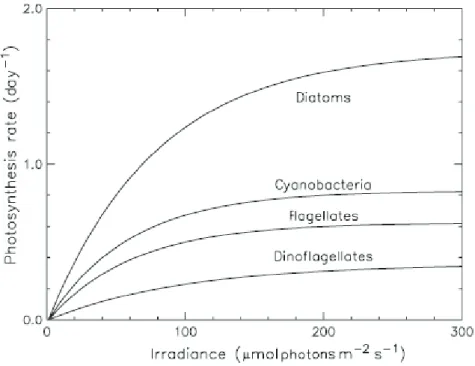 Fig. 2.10 – Courbe de productivit´e en fonction de l’irradiance ` a 15-25˚C pour diff´erents groupes de phytoplancton (Geider et al., 1997) (extrait de Le Qu´er´e et al