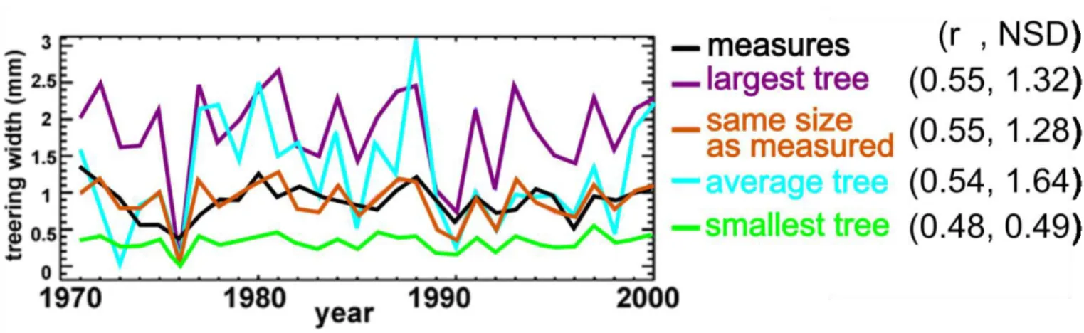 Figure 1μ Measured and simulated and tree-ring width time-series at Fontainebleau site