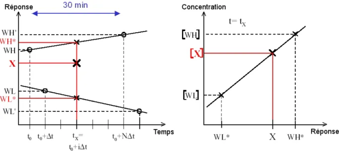 Figure I.4:  Principe du calcul des concentrations en utilisant deux standards. 