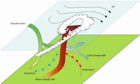Figure 1.7. Schéma des circulations associées aux amas en virgule dans un cyclone extratropical,  d’après Cotton et al