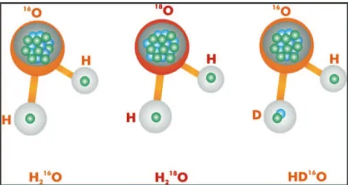 Table 1 – Masses (en unité atomique) et abondances naturelles des isotopes stables de l’hydrogène et de l’oxygène.