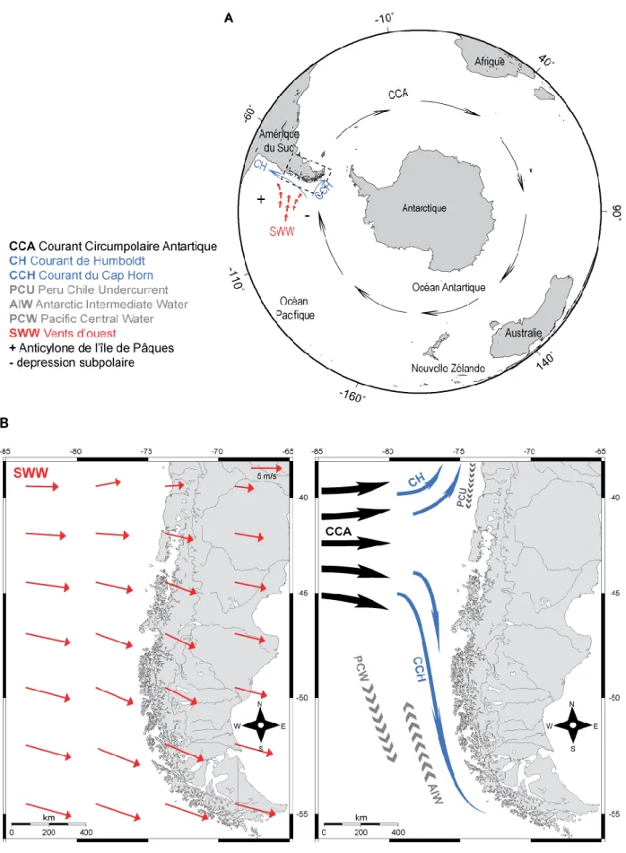 Figure 1.2: Circulations atmosphériques et océaniques au niveau de l‘hémisphère austral (A)  et  au  large  de  la  Patagonie  Chilienne  (B)