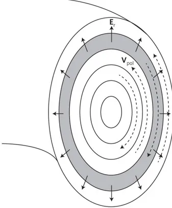 Figure 1.11: Toroidal tokamak cross-section with zonal GAM flows and radial electric field variation