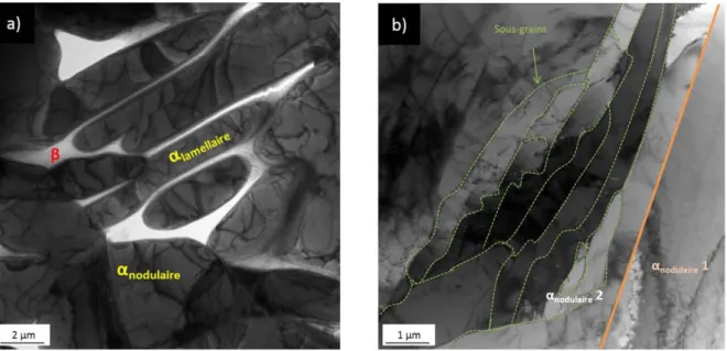 Figure  III- 8.  TA6V  :  Observations en MET: a)  Microstructure duplex  et.  b )  Sous-joints de gt·ains  ct réseaux de dislocations