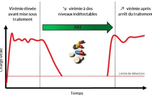 Figure 6 : Définition clinique du réservoir viral  (adaptée de (Kulpa and Chomont 2015) )