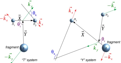 Figure 2.9: “T” (left) and “Y” (right) Jacobi systems for the fragment+n+n three-body system in coordinate and momentum spaces.
