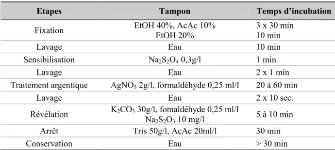 Tableau 3 : Etapes successives de la coloration à l’argent des protéines contenues dans  un gel SDS-PAGE 
