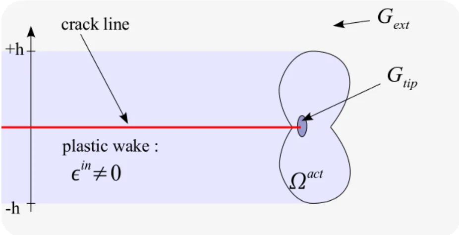 Fig. 19 : Zone active et sillage plastique laissée par la propagation d'une fissure dans un  matériau élasto-viscoplastique.