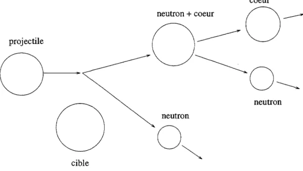 Figure 1.2: Processus de cassure en deux étapes d'un noyau à halo de deux neu- neu-trons.