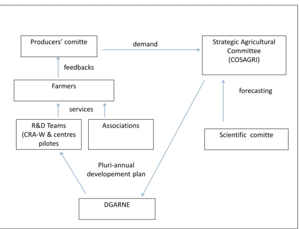 Figure 8. Simplified diagram of the project of AKIS reform in Wallonia (source: the  authors)