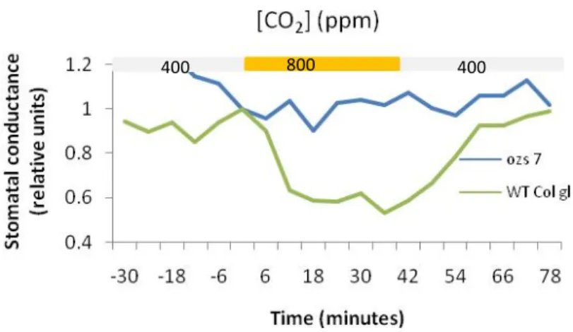 Figure   15:      Time   courses      of   stomatal   response   800      ppm      of       CO 2    for   30   min