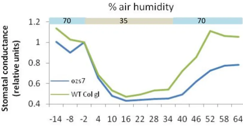 Figure   15:   Time   courses   of   stomatal   response   to   changes   in       air   humidity