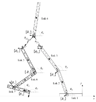 Fig. 1-5: Biped robot during the SSP with description of assumed local frames Link (1) (stance foot link): It is assumed fixed link with negligible dynamics