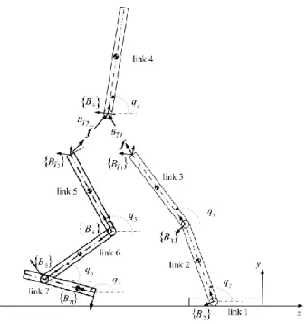 Fig. 1-5: Biped robot during the SSP with description of assumed local frames Link (1) (stance foot link): It is assumed fixed link with negligible dynamics