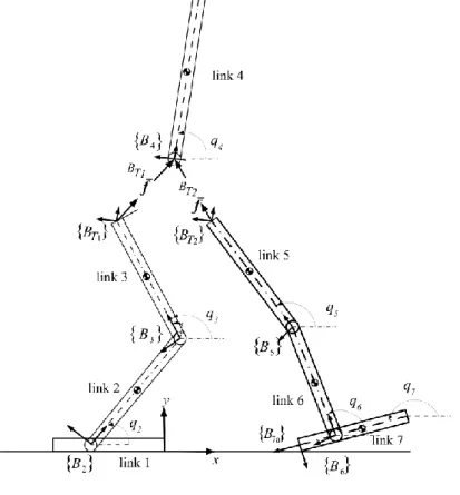 Fig. 1-6: Biped robot during the DSP1  (i)  Procedure 1-releasing and optimizing the internal forces  