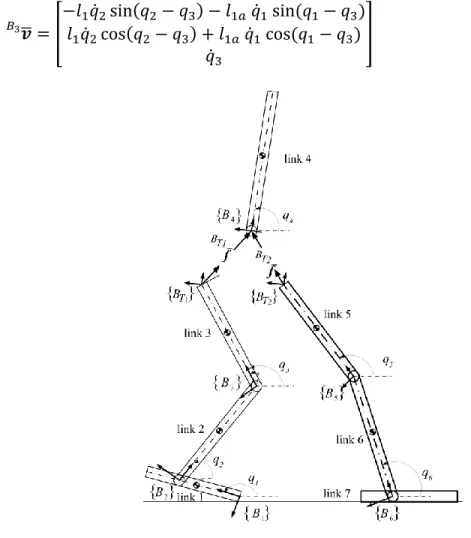 Fig. 1-7: Biped robot during the DSP2  Link (4) (trunk): 