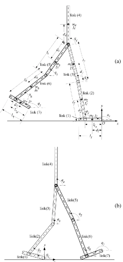 Fig.  1-1:  Walking  pattern  1  with  description  of  generalized  coordinates.  (a)  Intermediate  configuration  of  biped  locomotion  during  the  SSP