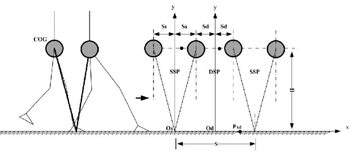 Fig.  1-3: Simplified modeling of biped robot based on method 1. Here   and   represent  half of the distance spent by the COG during the SSP and the DSP respectively