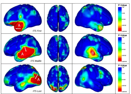 Figure 3: Maps of Anatomical Correlation between Landmarks in the Perisylvian Language Cortex and other Brain Regions