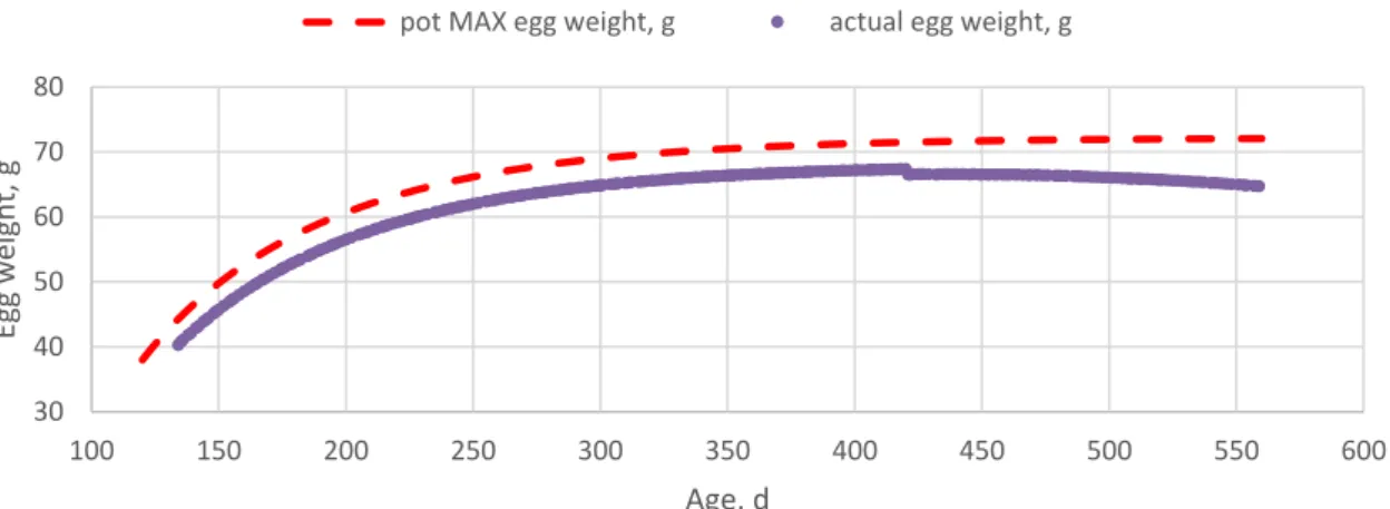 Figure  10.  Simulated  egg  weight  limited  by  the  feed  (actual  egg  weight)  and  potential  maximum  egg  weight  (pot  MAX  egg  weight)  over  the  persistency  estimated  by  the  layer  model