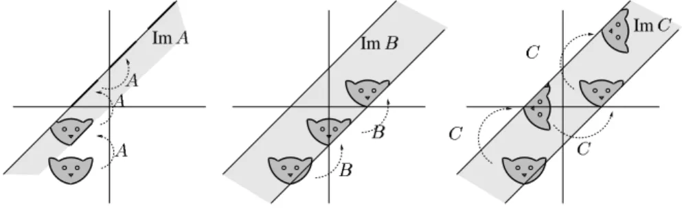 Fig. 4. A cat in a ,-.0/(1243 dynamics (see (28))