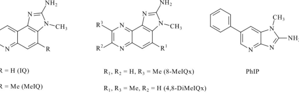 Fig. 1.2 Structures of heterocyclic aromatic amines found in cooked red and/or processed meats
