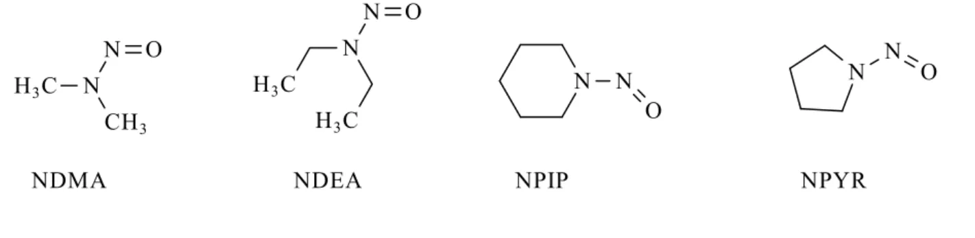 Fig. 1.5 Structures of N-nitroso compounds commonly found in processed meats