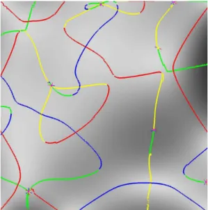 Figure 15: Ridges and umbilics on a triangulated model of the Bezier surface (60k points), view from above