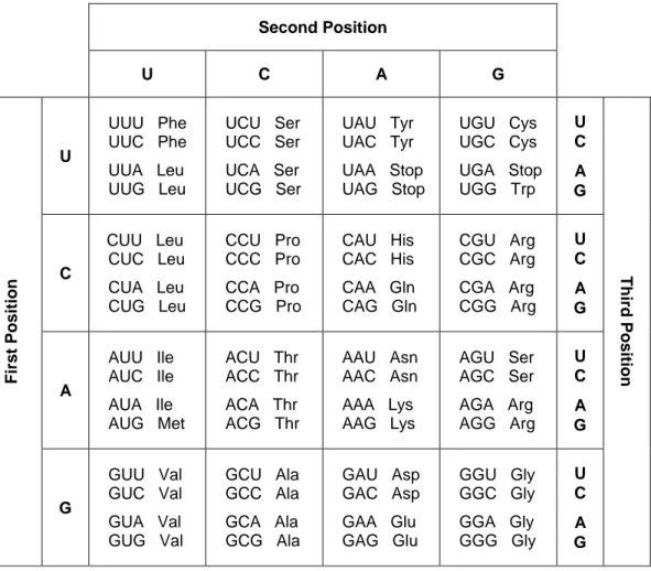 Figure 1. The genetic code.  The table illustrates the sets of CDs that specify each amino acid