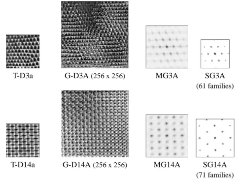 Figure 4 presents two more texture samples A ?  A ? simulated by the CSA with the model parameters learnt for the samples T-D3a and T-D14a in Figures 2 and 3