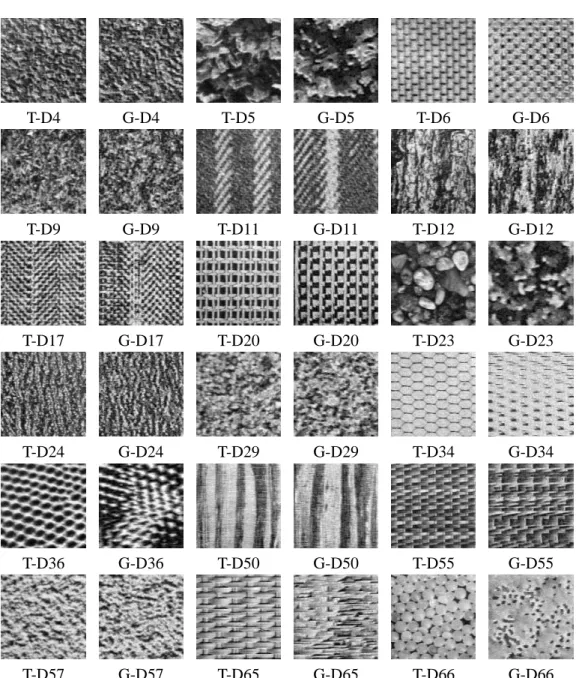 Figure 5: Training (T) and simulated (G)  A   A samples of different natural textures.