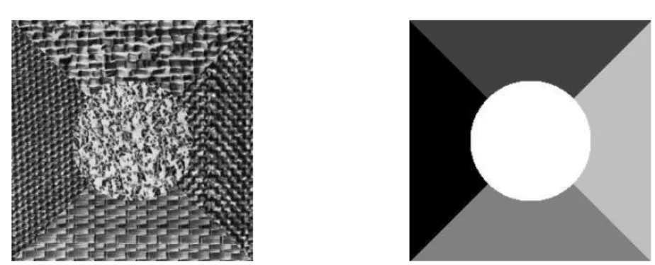 Figure 7: Collage A ?  A ? to be segmented and its ideal region map.